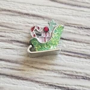 🦉HTF Pastel Sleigh Charm